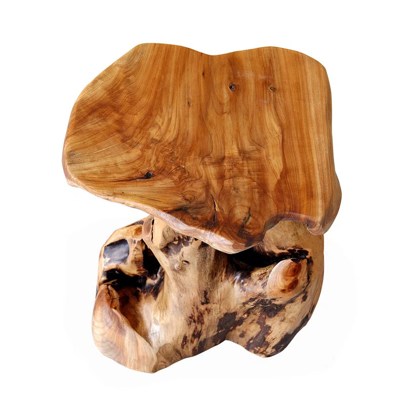 Modern Statement Piece Solid Wood End Table