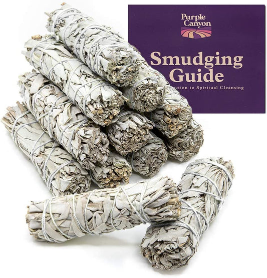 12-Pack Cleansing Aromatherapy Sage Smudge Kit