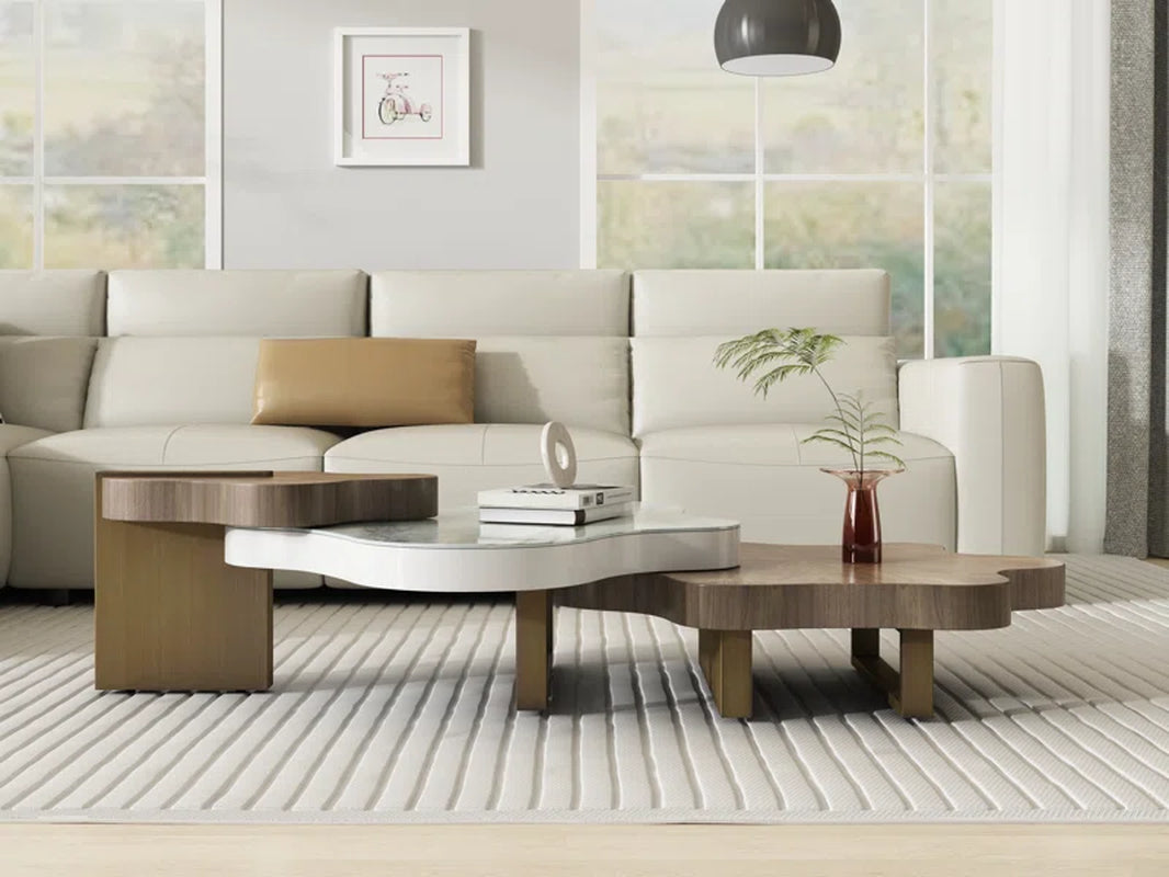 Modern High-End Irregular Shaped Coffee Table